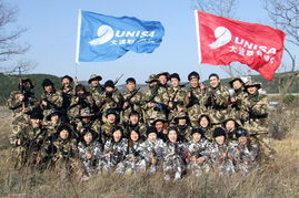 大连联合国际船舶代理 国际船舶管理业务的卓越引领者