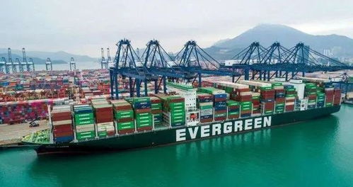 美团进军公路货运市场，快递企业双十一战报亮眼