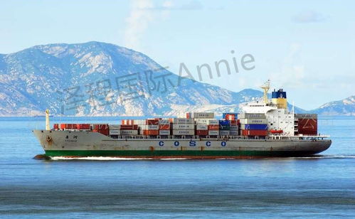 广州国际船舶管理业务 南中国航运中心的战略引擎